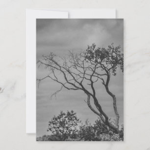 stylised American gothic tree photo reprint by SWS Holiday Card