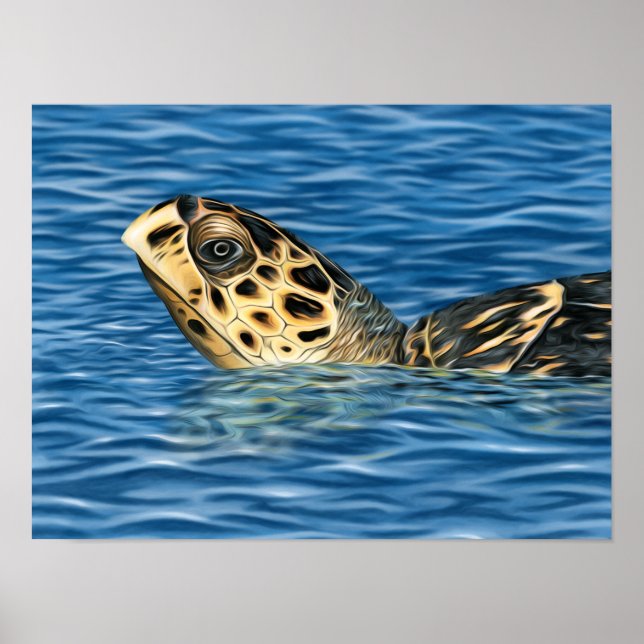 Stylised Basking Hawksbill Sea Turtle Poster (Front)