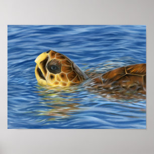 Stylised Basking Loggerhead Sea Turtle Poster