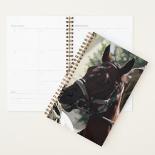 Stylised Brown Horse Smiling Head Sketch Planner