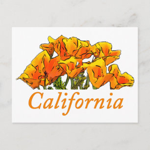 Stylised California Poppy Art, "California" text Postcard