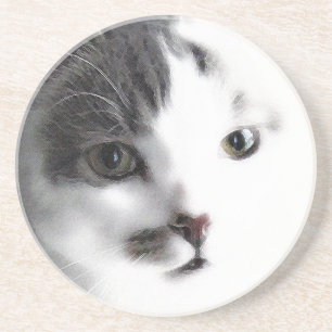Stylised Cat Face Close-up Stone Coaster