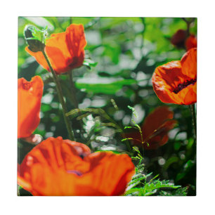 Stylised Garden Red Orange Poppy Flowers Ceramic Tile