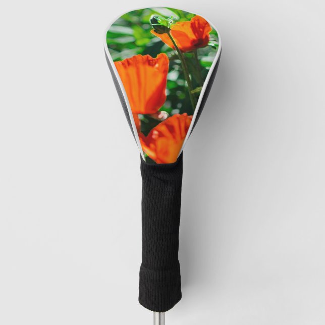 Stylised Garden Red Orange Poppy Flowers Golf Head Cover (Front)