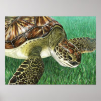 Stylised Juvenile Green Turtle