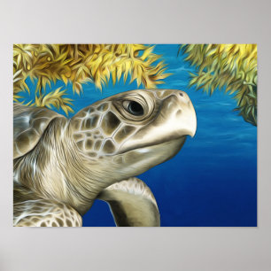 Stylised Kemp's Ridley Sea Turtle Poster