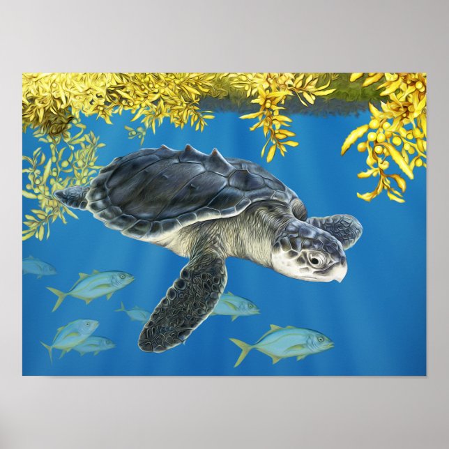 Stylised Kemp's Ridley Sea Turtle with Sargassum Poster (Front)