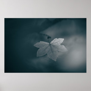 Stylised Monochrome Maple Leaf Nature Photo Poster