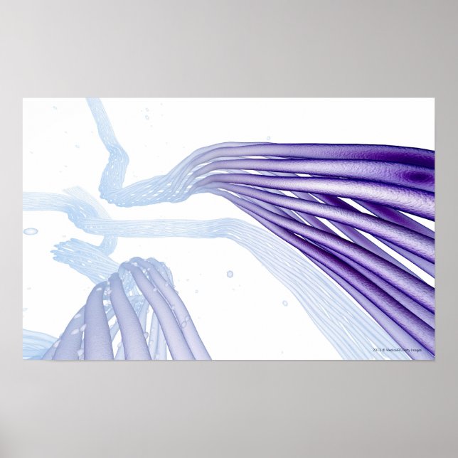 Stylised nerve fibers poster (Front)