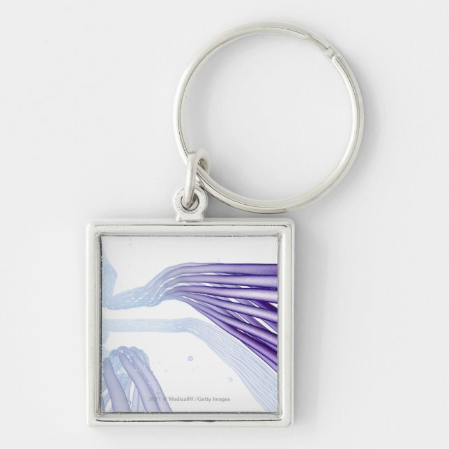 Stylised nerve fibres key ring (Front)
