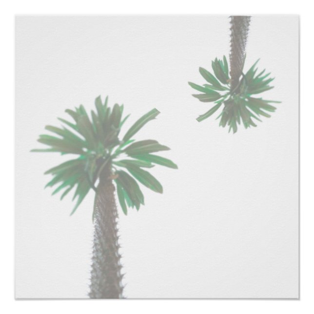Stylised Palm Tree Pastel Green Tropical Poster (Front)