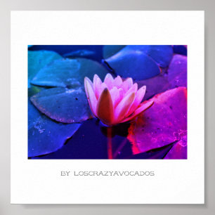Stylised Pink Water Lily Flower Plants Poster