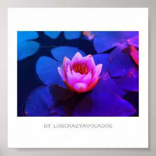 Stylised Pink Water Lily Flowers Plants Poster