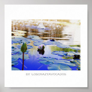 Stylised Pink Water Lily Flowers Plants Poster