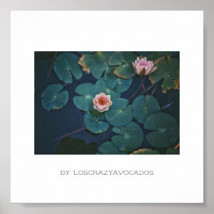 Stylised Pink Water Lily Flowers Plants Poster