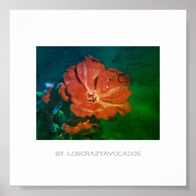 Stylised Red Green Geranium Flower Poster (Front)