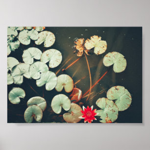 Stylised Red Green Water Lily Flower Plants Poster