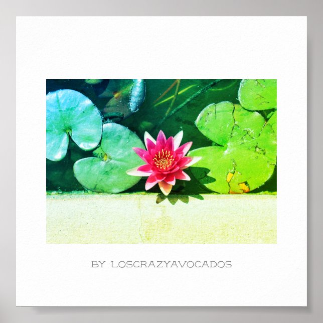 Stylised Red Green Water Lily Flower Plants Poster (Front)