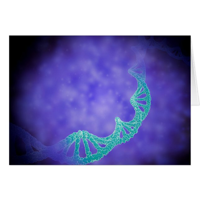Stylised View Of Strands Of Human DNA (Front Horizontal)