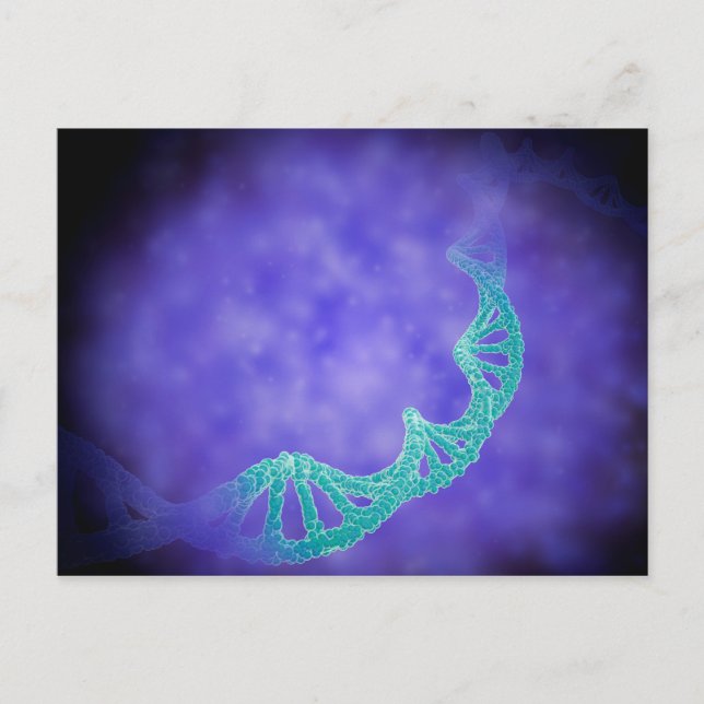 Stylised View Of Strands Of Human DNA Postcard (Front)