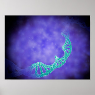 Stylised View Of Strands Of Human DNA Poster