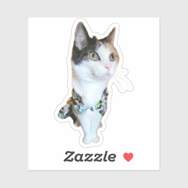 Stylish Cat Funny Sticker (Sheet)