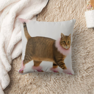 Stylish Cat in Pink Heels and Fluffy Glam Cushion