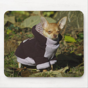 Stylish Chihuahua Mouse Pad