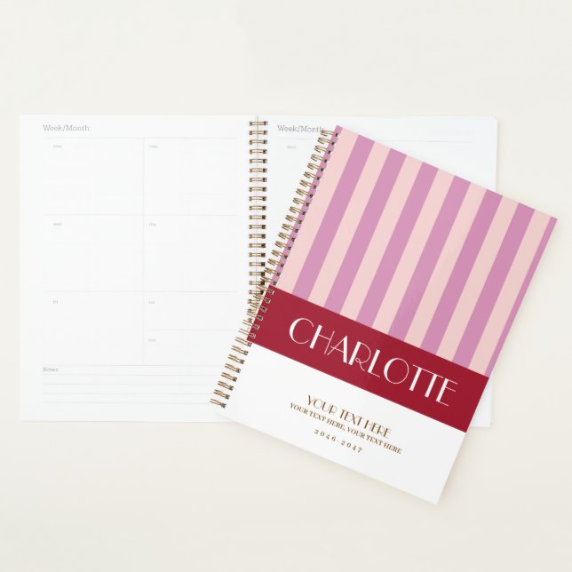 Stylish Colourful Stripes Personalised Planner (Display)
