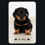 Stylish Cute Hearts Pet Photo Name | Black Magnet<br><div class="desc">Simply replace the photo with one of your own for a simple,  stylish magnet!  Text template included for a name or other custom text!</div>