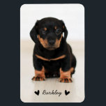 Stylish Cute Hearts Pet Photo Name | Black Magnet<br><div class="desc">Simply replace the photo with one of your own for a simple,  stylish magnet!  Text template included for a name or other custom text!</div>