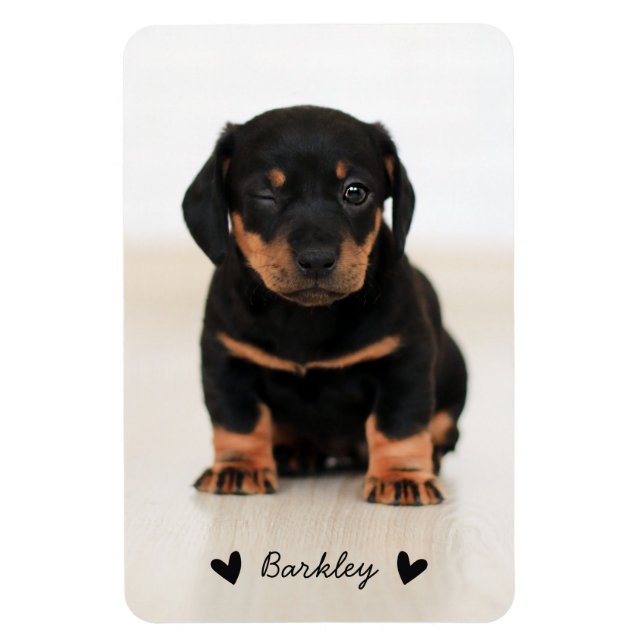 Stylish Cute Hearts Pet Photo Name | Black Magnet (Vertical)