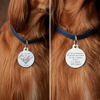 Stylish Diamond Jewelry Personalized Round Pet Tag