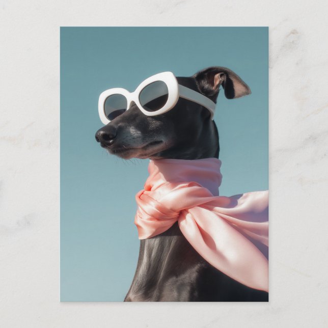 Stylish Dog With Sunglasses Scarf Postcard (Front)