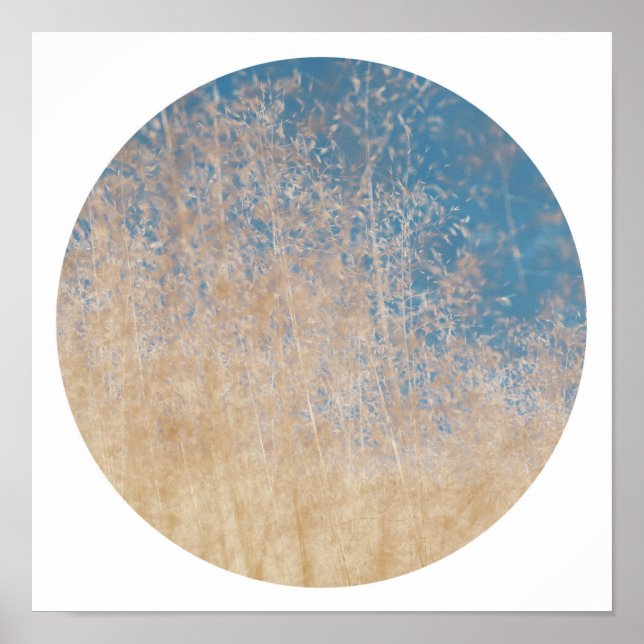 Stylish Golden Grass Blue Sky Dreamy Poster (Front)