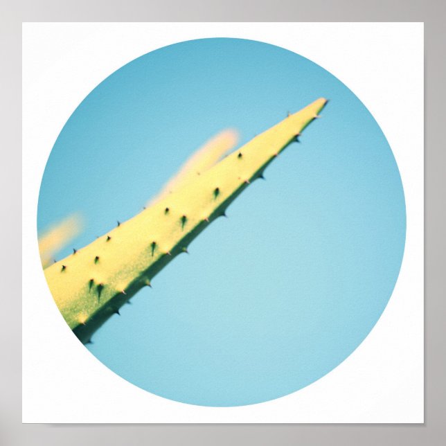 Stylish Green Cactus Thorns Blue Sky Poster (Front)