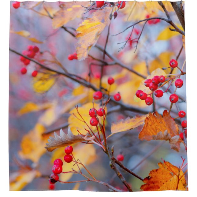 Stylish hawthorn berries in autumn shower curtain (Front)