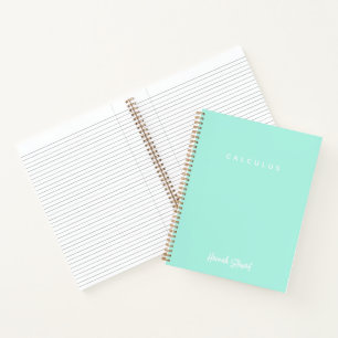 Stylish Mint Green Minimalist Girly Student Notebook