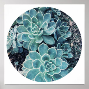 Stylish Pale Green Cactus Succulent Poster