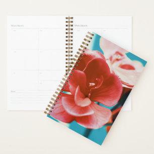 Stylish Pale Red Coral Flowers Turquoise Planner