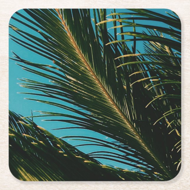 Stylish Palm Tree Leaves Square Paper Coaster (Front)