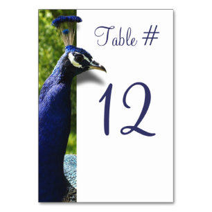 Stylish Peacock Wedding Table Number Card