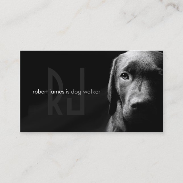 Stylish pet care dog walker walking business card (Front)