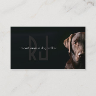 Stylish pet care dog walker walking business card