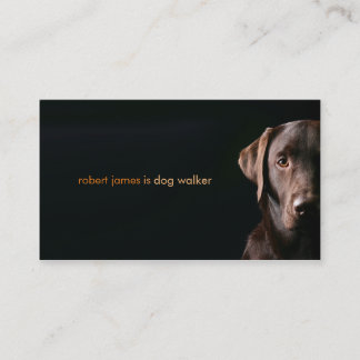 Stylish pet care dog walker walking business card