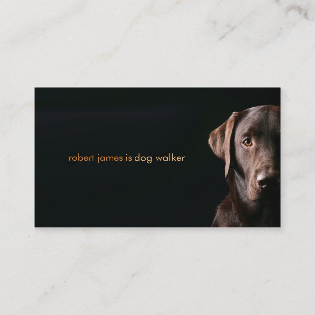 Stylish pet care dog walker walking business card (Front)