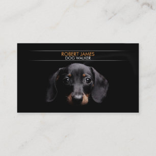 Stylish pet care, pet sitting, dog walker, walking business card