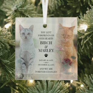 Stylish Pet Memorial 2 Cat Photo Glass Tree Decoration