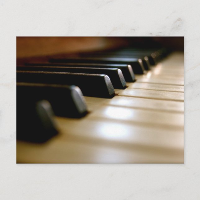 Stylish piano keyboard Music Postcard (Front)