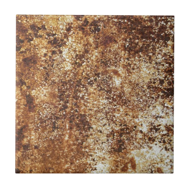 Stylish Rustic Texture Ceramic Tile (Front)